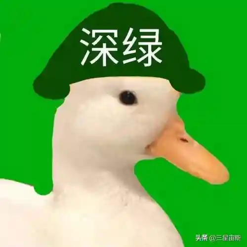 王者自走棋阵容玄搭配什么插图2