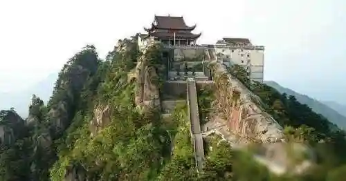 金像禅师阵容搭配插图1
