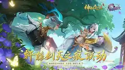 小雪搭配什么阵容插图