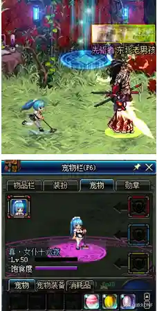 dnf冰息蓝龙宠物(炎息红龙和冰息蓝龙有啥区别)插图5