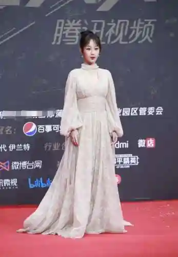 星光红毯阵容搭配图片(明星红毯造型图片)插图21