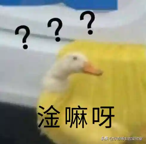 淦是什么意思(淦这个梗的意思)插图30 淦是什么意思(淦这个梗的意思)插图30