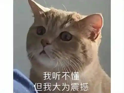 苍白物语阵容搭配攻略(苍空物语手游后期最强阵容)插图10
