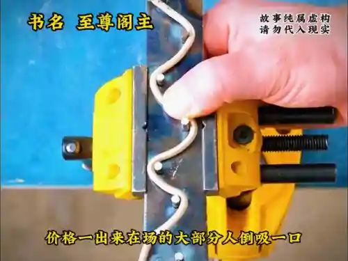 至尊斗罗阵容搭配(新斗罗大陆平民最强阵容搭配)插图4