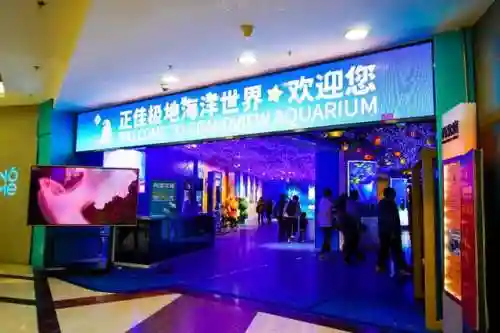 炫舞极地搭配阵容(炫舞时尚先锋sss搭配)插图9