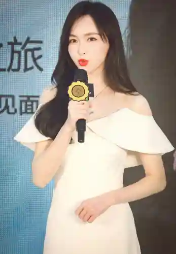 双排护卫阵容搭配(蜀盾最强阵容搭配)插图7