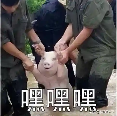 40个顶级搞笑笑话(积极向上正能量的幽默笑话)插图37