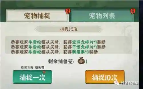 宠物对决阵容搭配图表(宝可梦对决最强阵容推荐)