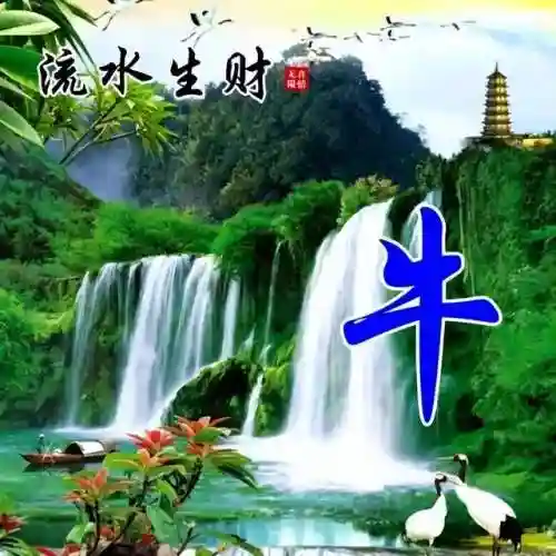 头像图片400张(2024最好运头像)插图12