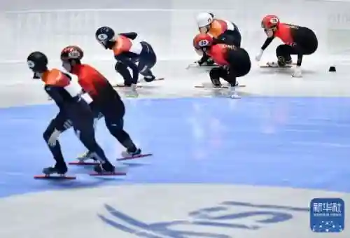 短道速滑混合接力(混合团体2000米接力)插图14