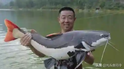 王者之战钓鱼阵容搭配图(王者征途最佳组合阵容推荐)