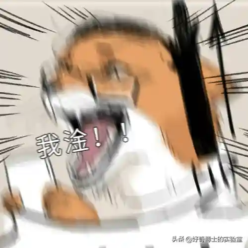 淦是什么意思(淦这个梗的意思)插图28 淦是什么意思(淦这个梗的意思)插图28