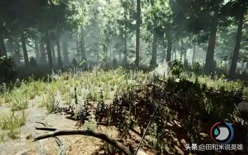 英雄小屋野人搭配阵容(荒野迷城阵容推荐最新)插图2 英雄小屋野人搭配阵容(荒野迷城阵容推荐最新)插图2