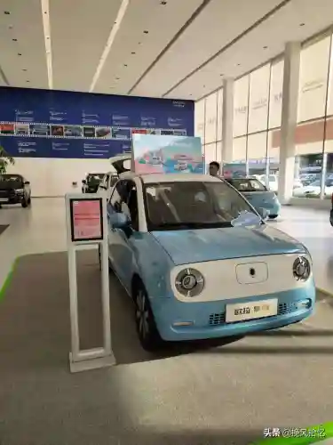 电车之狼怎么一直在等车(自动驻车可以一直开着吗)插图5