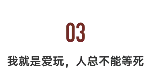仙人掌最新阵容搭配(种仙人掌用什么土最好)插图29
