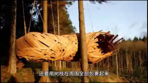 原始猎人最强阵容搭配(热血猎人平民最强阵容)插图3