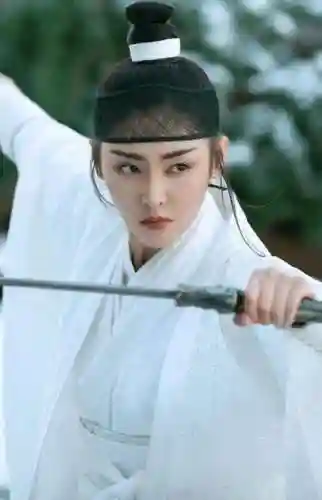 江湖美人谱(江湖美人劫全文阅读)
