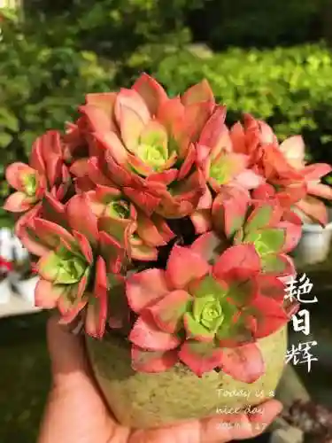 法师最牛最霸气名字(一眼就看出是玩法师的ID)插图66