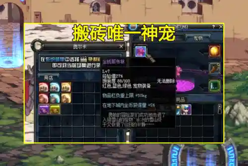 dnf迷你哥布林宠物(dnf自动拾取宠物亚米)插图4