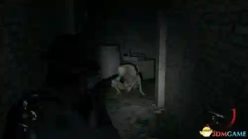鬼屋魔影4(ps5鬼屋魔影攻略图文)插图140