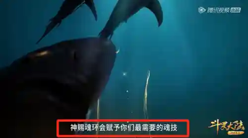 唐三魂环搭配和阵容搭配(唐三的最终魂环配置)插图2
