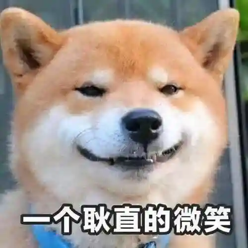 平民萨拉丁阵容搭配(平民拉比丝最强阵容是谁)插图17