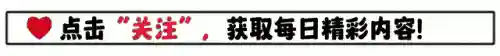 嬴政刘邦阵容搭配最新(嬴政克制哪些阵容)