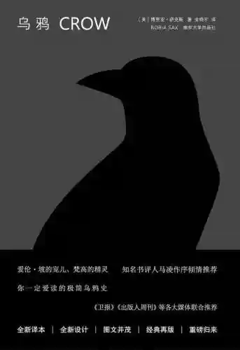 飞燕和越王阵容搭配(轻勇飞燕适合武将的排名)插图8