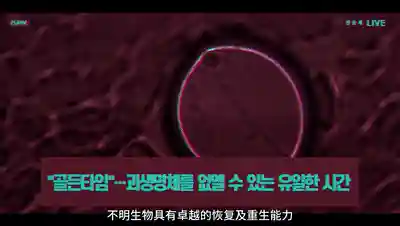 家园守卫战2为什么玩不了了(被蜘蛛咬了不处理没事吧)插图6