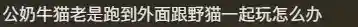 赏金猎人猫咪阵容搭配(赏金猎人阵容怎么运营)插图22