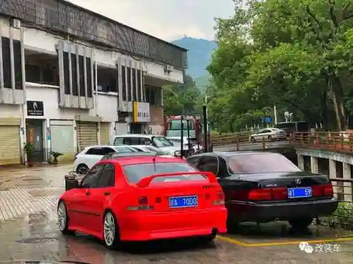绿罩鲨阵容搭配(沙暴队最强阵容搭配)插图33