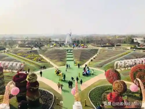 洛克王国紫藤快速获得(洛克王国紫藤150怎么弄)插图35