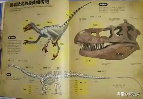 50种恐龙名称和图片(十大最著名恐龙)插图3