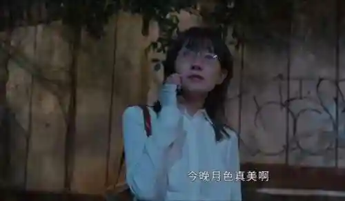 庭外演员阵容搭配(陷阵营高顺最佳阵容)插图2