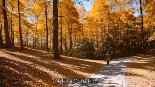 时光恋人回城搭配阵容攻略(时间之钥阵容最佳搭配建议)
