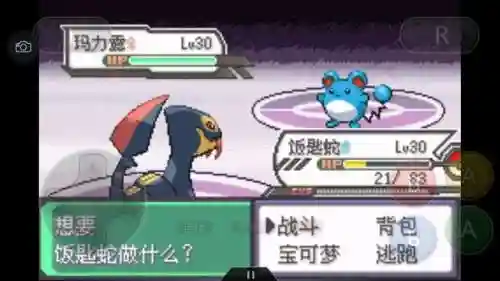 口袋妖怪绿宝石493(绿宝石493所有精灵分布)插图56