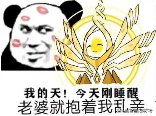 谱尼是最强的精灵吗(比圣灵谱尼更强大的精灵)插图8