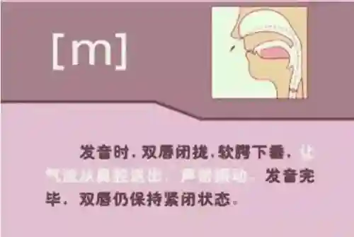 英语音标发音表(48个音标大全表图片)插图50
