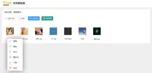 文件管理系统(10大开源文档管理系统)插图4