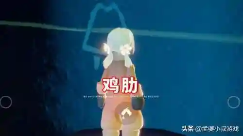 光遇白鸟全物品版(sky光遇全物品满级动作下载)插图3