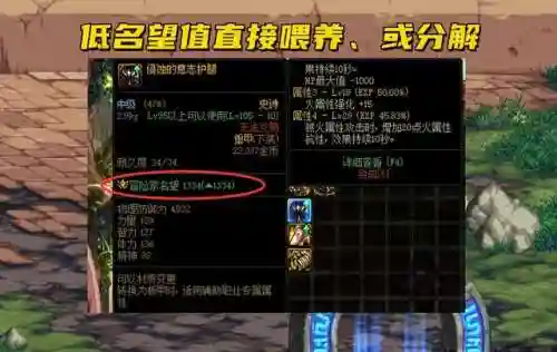 dnf装备如何喂养(dnf多余的宠物装备怎么处理)插图3