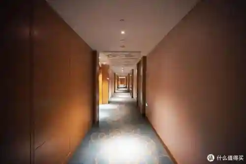 亚特兰蒂斯酒店(中国唯一七星级酒店)插图24