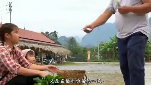 幻象阿飞阵容搭配攻略(天空的魔幻城阵容)