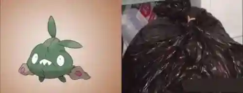宠物小精灵吧(神奇宝贝精灵名字大全)