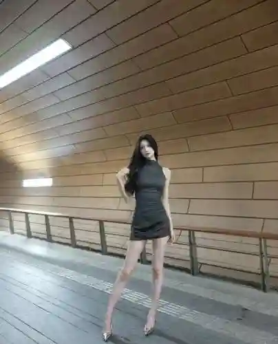 霓裳之夜阵容搭配图鉴(北京女子图鉴穿衣搭配)插图3