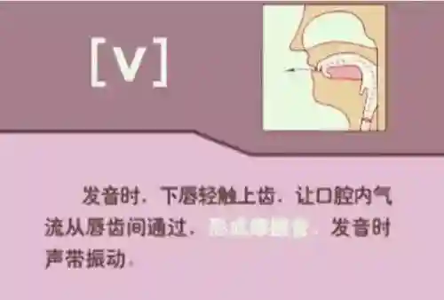 英语音标发音表(48个音标大全表图片)插图39