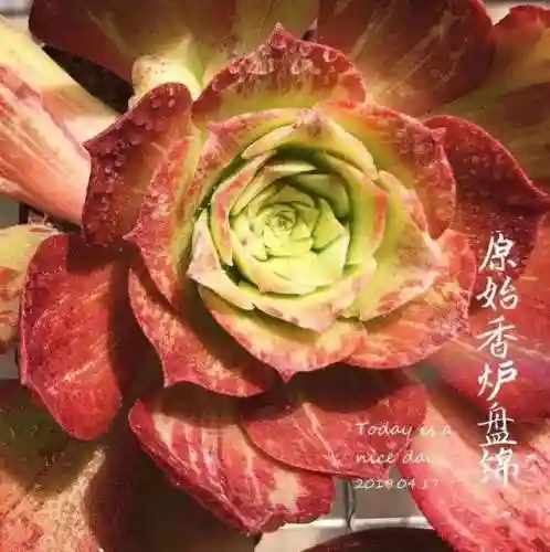 法师最牛最霸气名字(一眼就看出是玩法师的ID)插图36