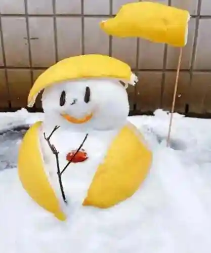 重装雪人阵容搭配(雪天队最强配置)