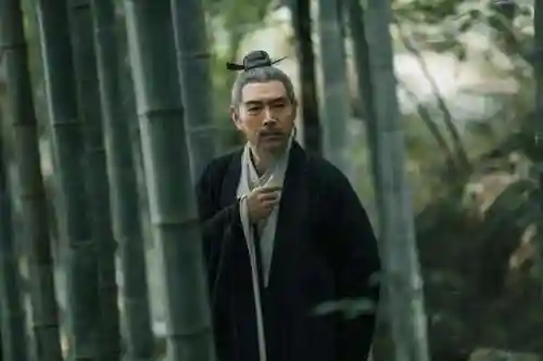 神机营最强阵容搭配图鉴(铜雀三国最强阵容搭配)插图18