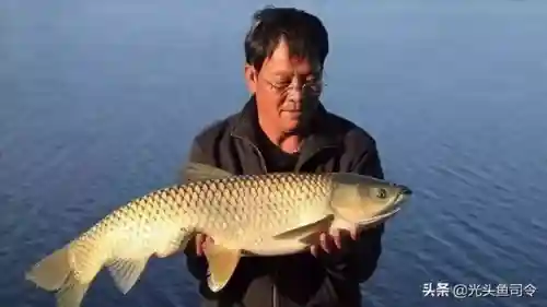 王者之战战队阵容搭配(王者军团最强阵容搭配)